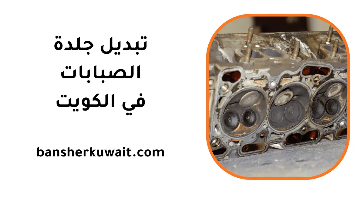 تغيير جلدة الصبابات